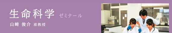 生命化学 ゼミナール / 山崎 俊介 准教授 獣医学博士/学術博士