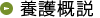 養護概説