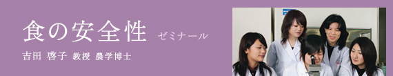 食の安全性 ゼミナール / 吉田 啓子 教授 農学博士
