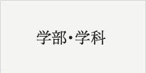 学部・学科