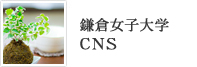 鎌倉女子大学CNS