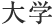 大学