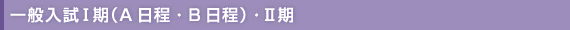 一般入試Ⅰ期（A日程・B日程）・Ⅱ期