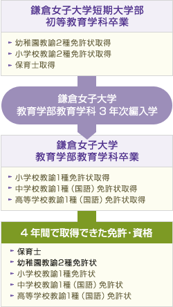 教育学部教育学科に編入学した場合