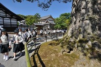 修学旅行 (3).jpg