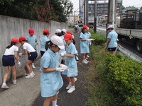 201409_フリージア (2).jpg
