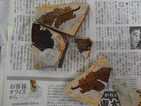 20170928 (6).jpg