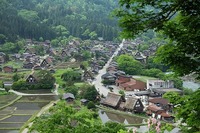 20180518 (1).jpg