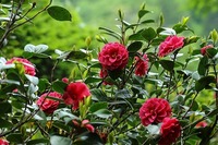 20180518 (7).jpg