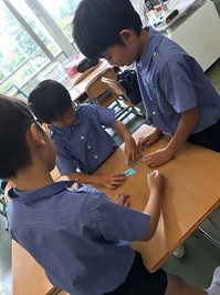 20180724 (6).jpg
