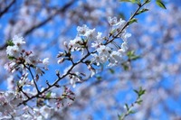 20190410 (1).jpg