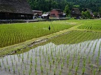 20190614 (1).jpg