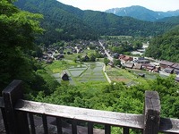 20190614 (3).jpg