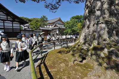 http://www.kamakura-u.ac.jp/sys/elementary_news/images/%E4%BF%AE%E5%AD%A6%E6%97%85%E8%A1%8C%20%283%29.jpg