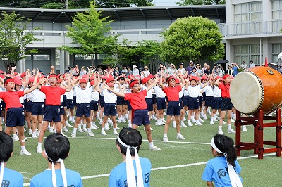 http://www.kamakura-u.ac.jp/sys/elementary_news/images/20180609%20%281%29.jpg