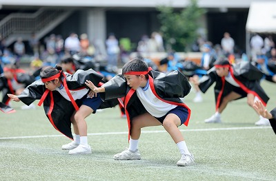 http://www.kamakura-u.ac.jp/sys/elementary_news/images/20180609%20%282%29.jpg