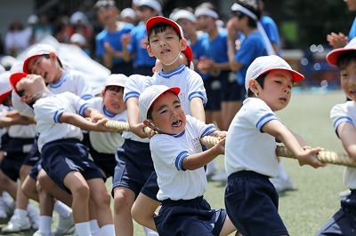 http://www.kamakura-u.ac.jp/sys/elementary_news/images/20180609%20%283%29.jpg