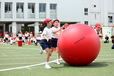 http://www.kamakura-u.ac.jp/sys/elementary_news/images/20180609%20%284%29.jpg