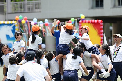 http://www.kamakura-u.ac.jp/sys/elementary_news/images/20180609%20%285%29.jpg