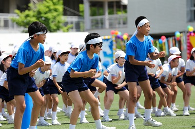 http://www.kamakura-u.ac.jp/sys/elementary_news/images/20180609%20%287%29.jpg