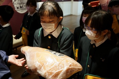 http://www.kamakura-u.ac.jp/sys/elementary_news/images/20190205%20%282%29.jpg
