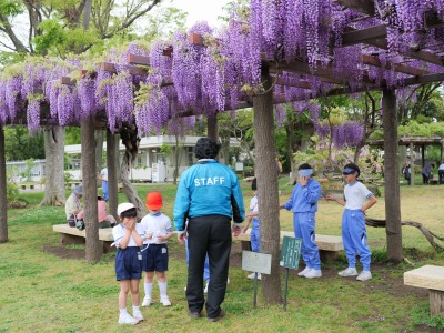 http://www.kamakura-u.ac.jp/sys/elementary_news/images/20190425-16%20%281%29.jpg