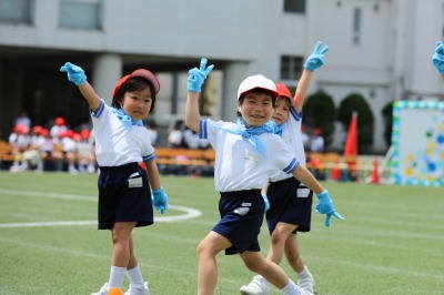 http://www.kamakura-u.ac.jp/sys/elementary_news/images/20190518%20%283%29.jpg