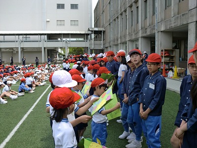 http://www.kamakura-u.ac.jp/sys/elementary_news/images/CIMG2922.jpg