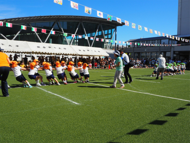 P1010333.jpg