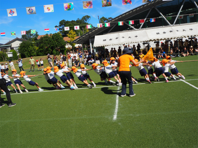 P1010336.jpg