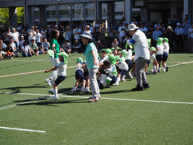 P1010337.jpg
