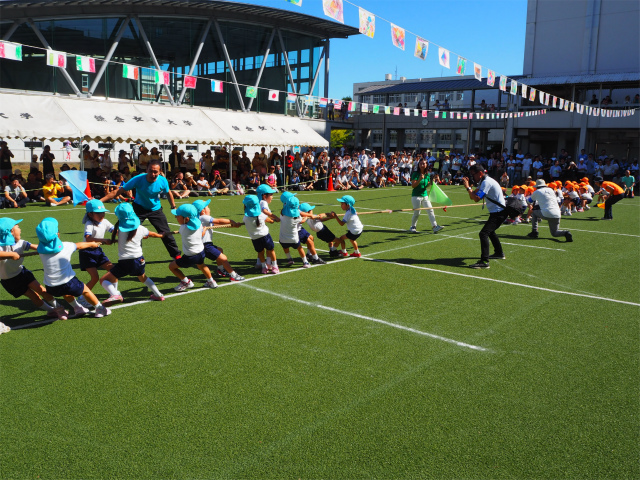 P1010339.jpg