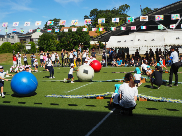P1010349.jpg