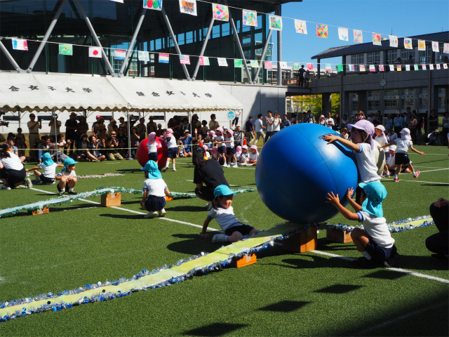 P1010357.jpg