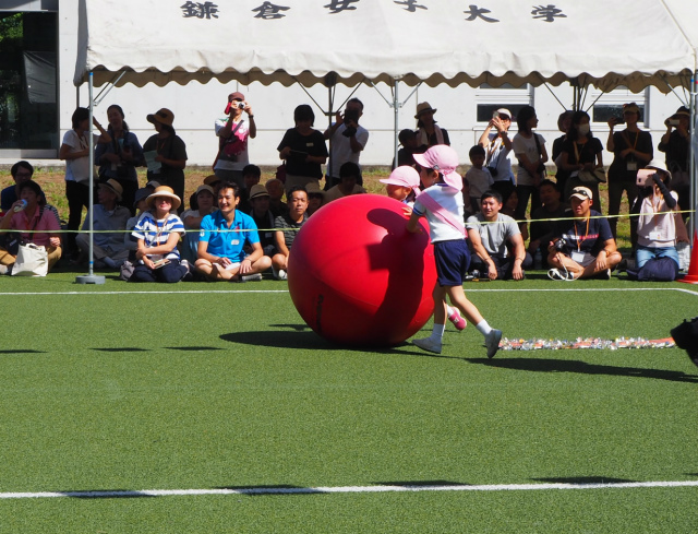P1010365.jpg