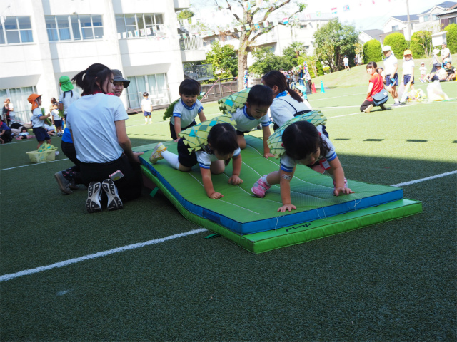 P1010393.jpg