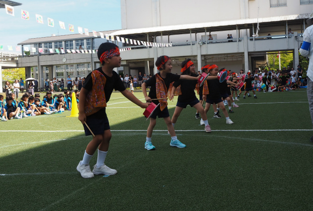 PA050619.jpg
