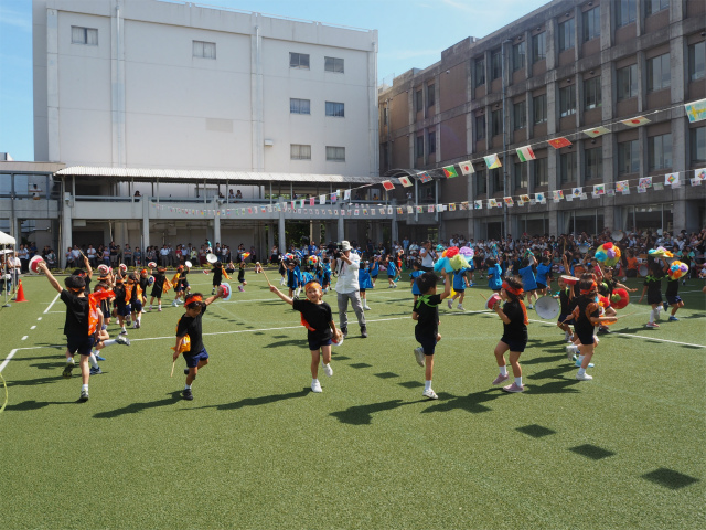 PA050649.jpg