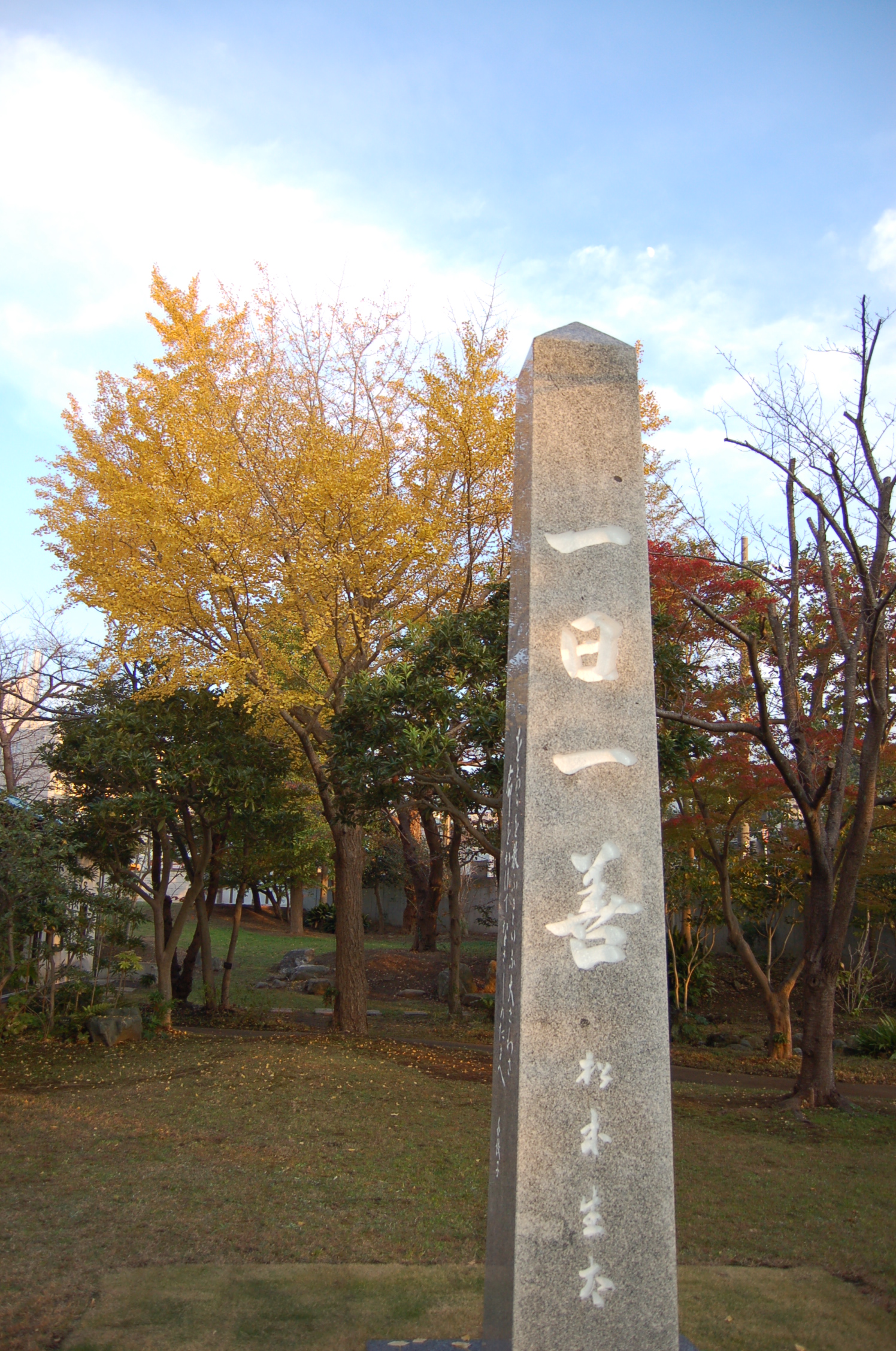 http://www.kamakura-u.ac.jp/sys/news-houjin/images/%E5%B2%A9%E7%80%AC%E3%82%AD%E3%83%A3%E3%83%B3%E3%83%91%E3%82%B9%E3%82%A4%E3%83%81%E3%83%A7%E3%82%A6%EF%BC%91.JPG