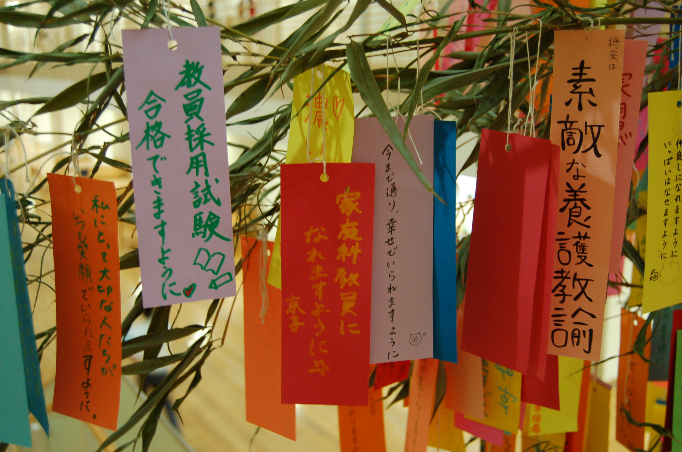 http://www.kamakura-u.ac.jp/sys/news/images/%E3%83%96%E3%83%AD%E3%82%B0%E7%94%A8DSC_0006.JPG