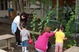 http://www.kamakura-u.ac.jp/sys/news/images/DSC_0036.JPG