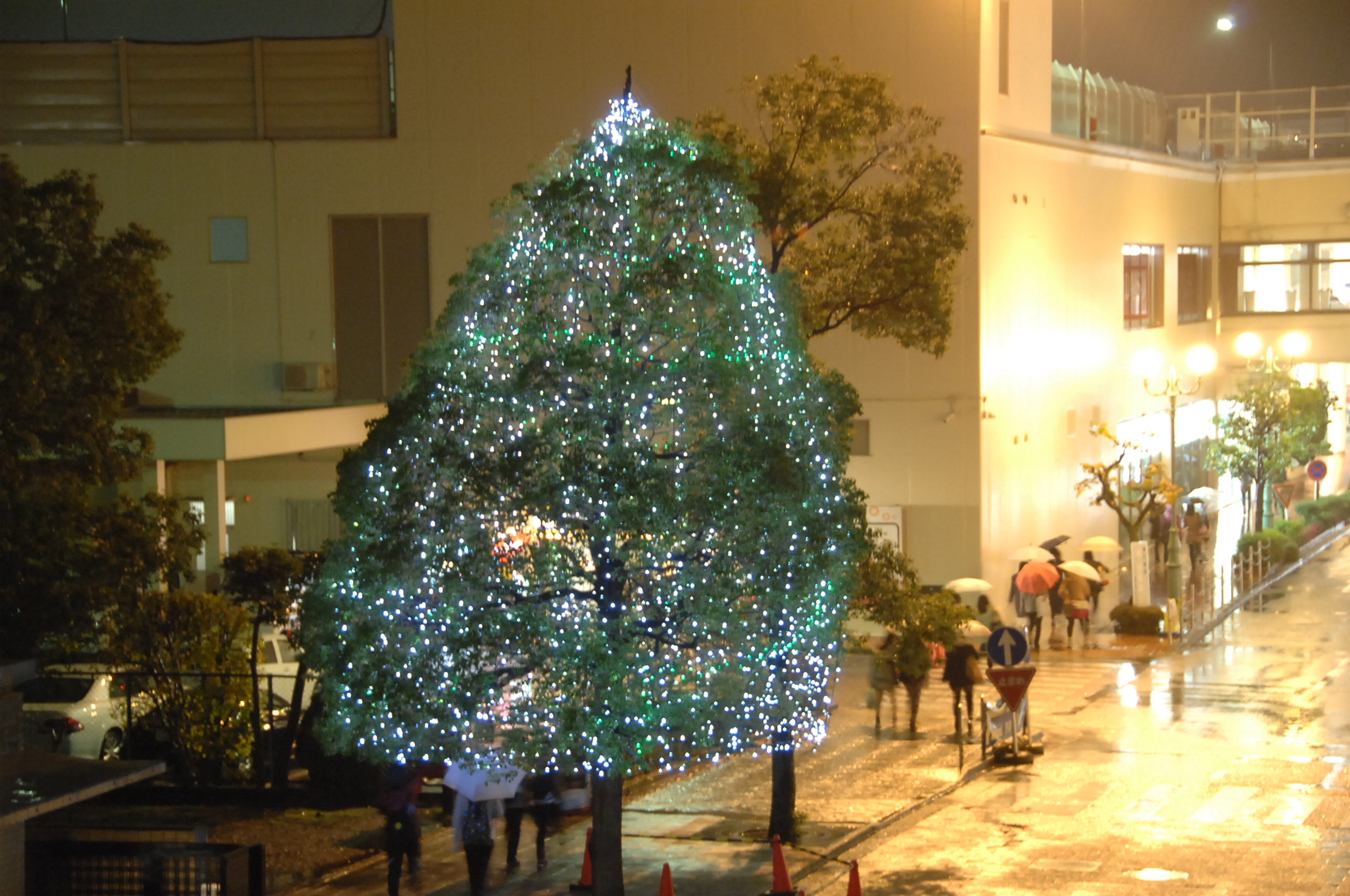 http://www.kamakura-u.ac.jp/sys/news/images/KU14_1783.JPG