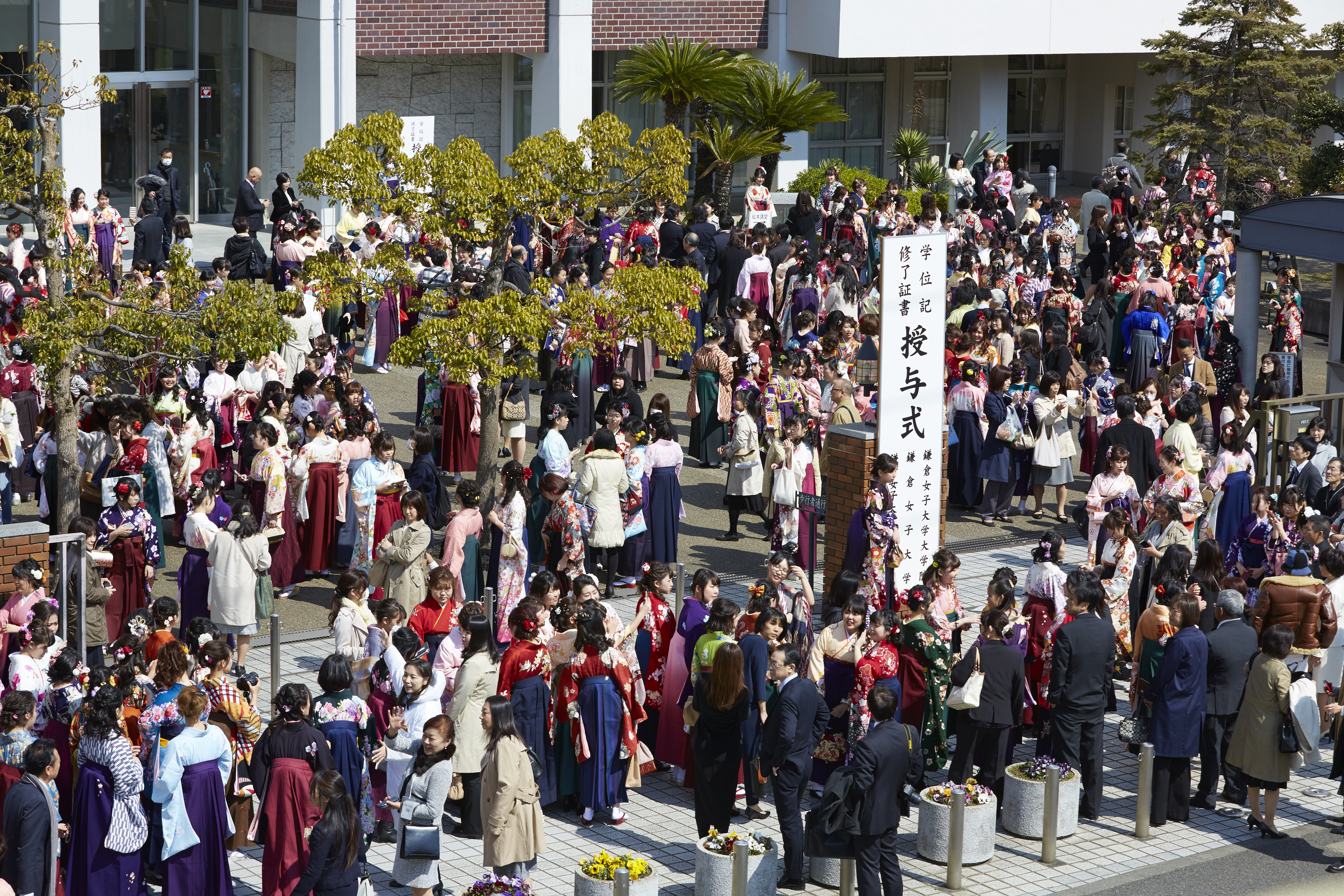 http://www.kamakura-u.ac.jp/sys/news/images/_L0A8686.jpg