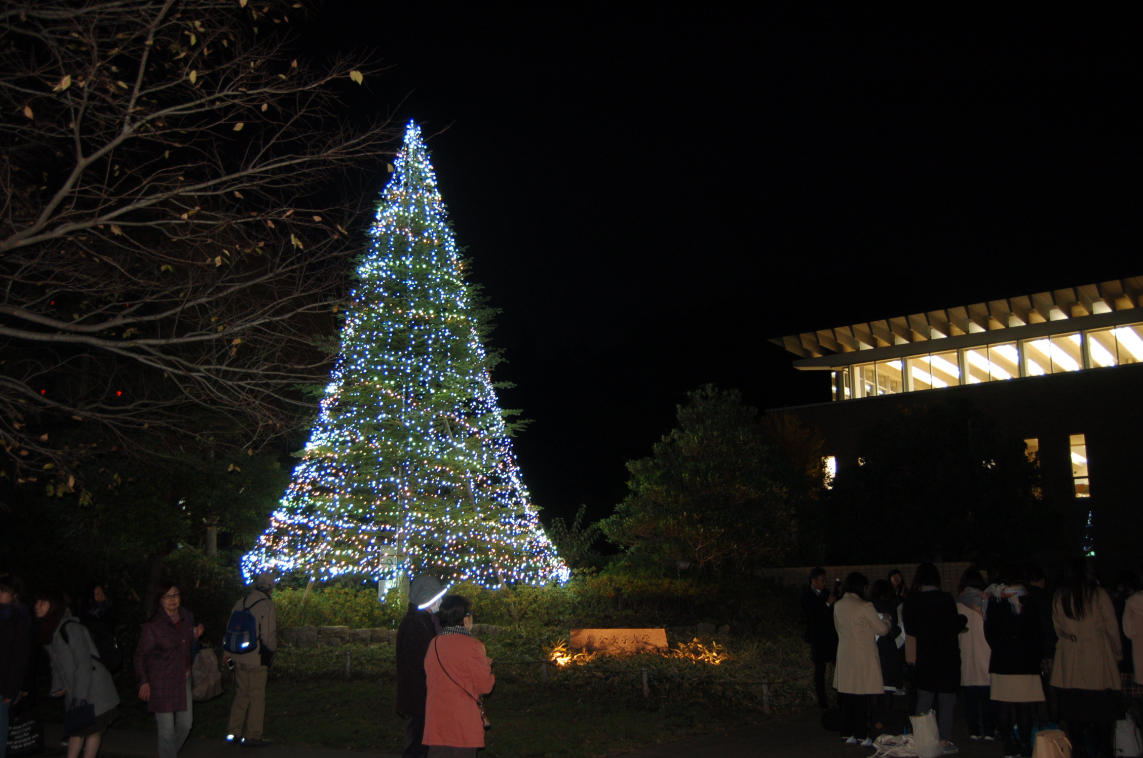 http://www.kamakura-u.ac.jp/sys/news/images/christmas_01.JPG