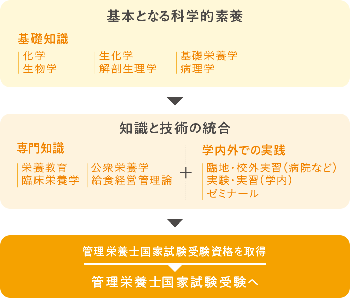 学びの コト 学科の学びについて紹介します いつでもどこでも コト 鎌倉 オープンキャンパス 受験生の皆さま 鎌倉女子大学 鎌倉 女子大学短期大学部