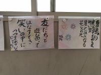 IMG_1984.jpg