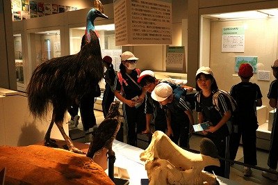20240912 (1).jpg