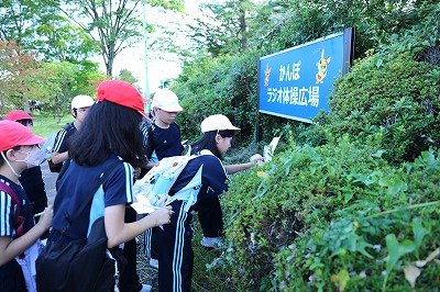 20240912 (2).jpg