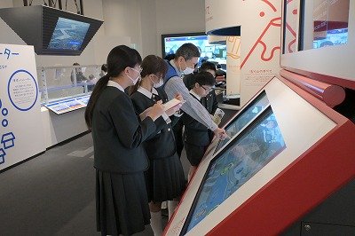 20250228 (1).jpg