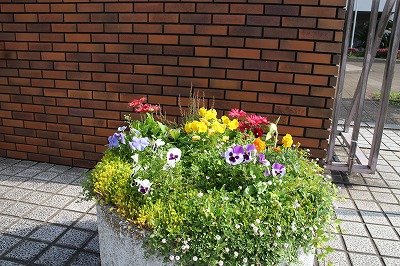20250604 (1).jpg